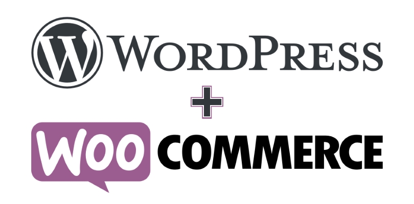 WooCommerce-Addons-to-Accept-Credit-Card-Payments-with-WordPress